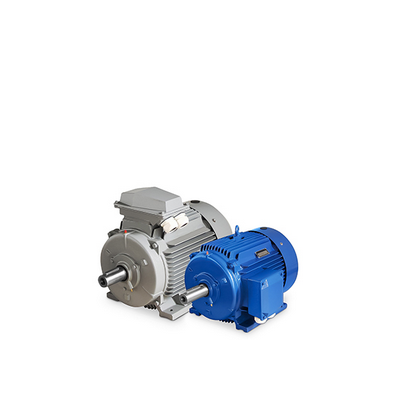 Cast Iron - Electric Motors